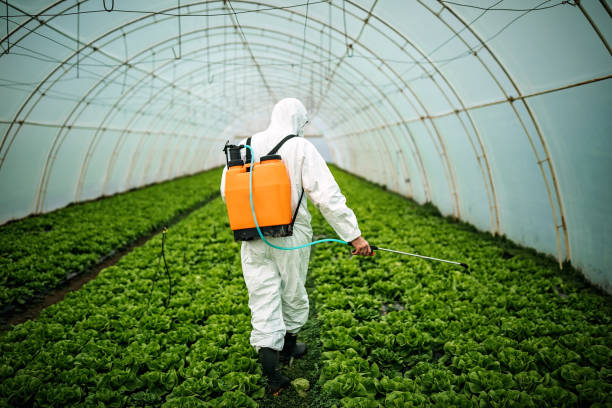 Best Ant Control Services  in Rochester Institute Of Technology, NY