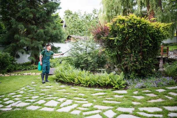 Best Wasp Removal Services  in Rochester Institute Of Technology, NY