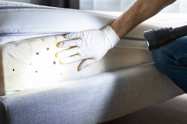 Best Residential Pest Control  in Rochester Institute Of Technology, NY