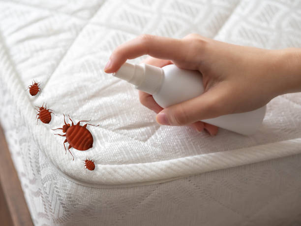  Rochester Institute Of Technology, NY Pest Control Pros