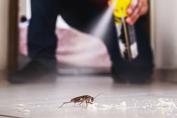 Best Rat Extermination Near Me  in Rochester Institute Of Technology, NY