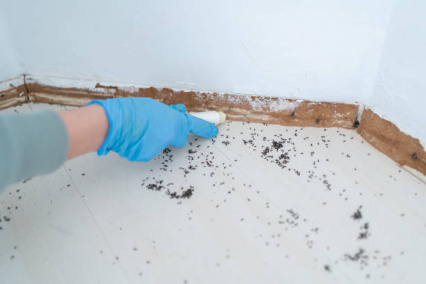 Best Residential Pest Control  in Rochester Institute Of Technology, NY